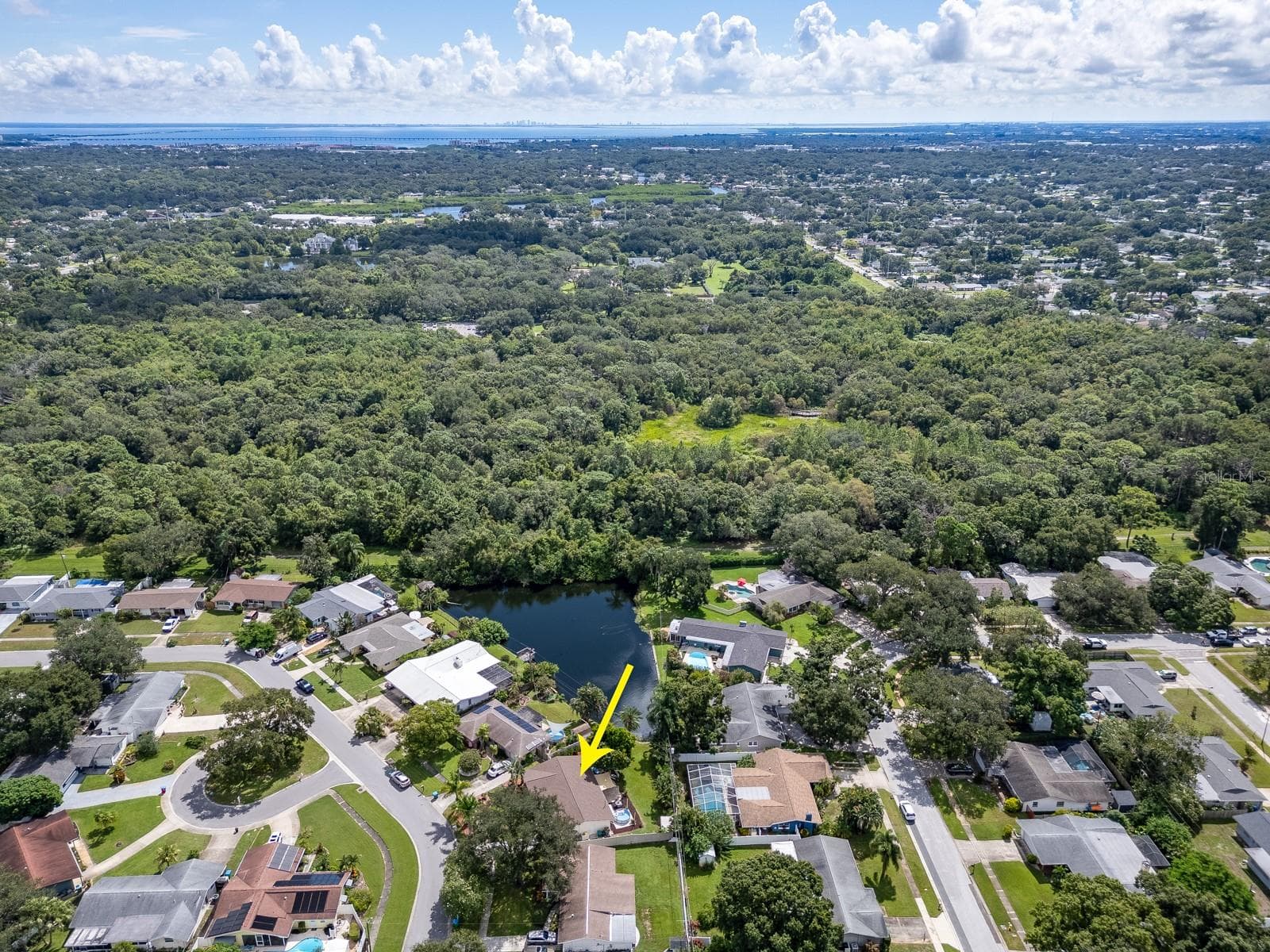 Single Family Residence at 1679 WOODRIDGE DR, CLEARWATER, photo 33 of 36