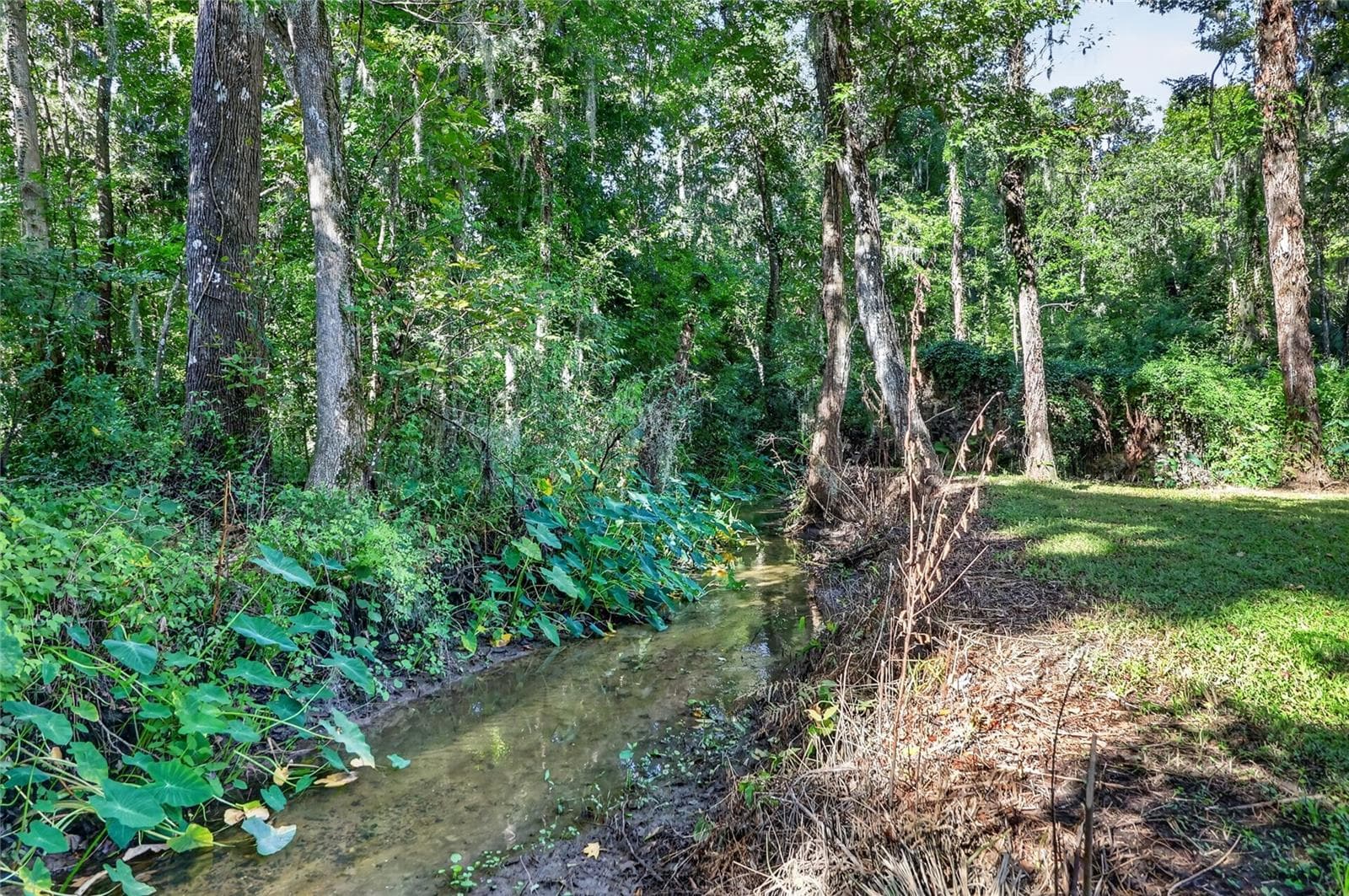 Running creek - 2628 LONGWOOD DR, LAKELAND