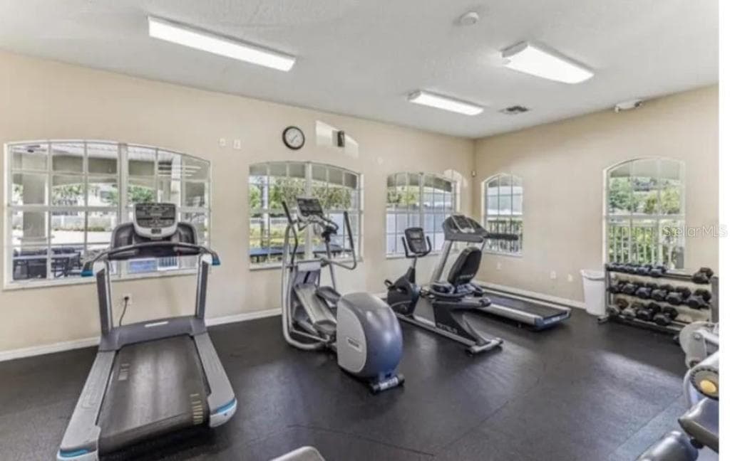 Fitness - 8542 BRUSHLEAF WAY, TAMPA