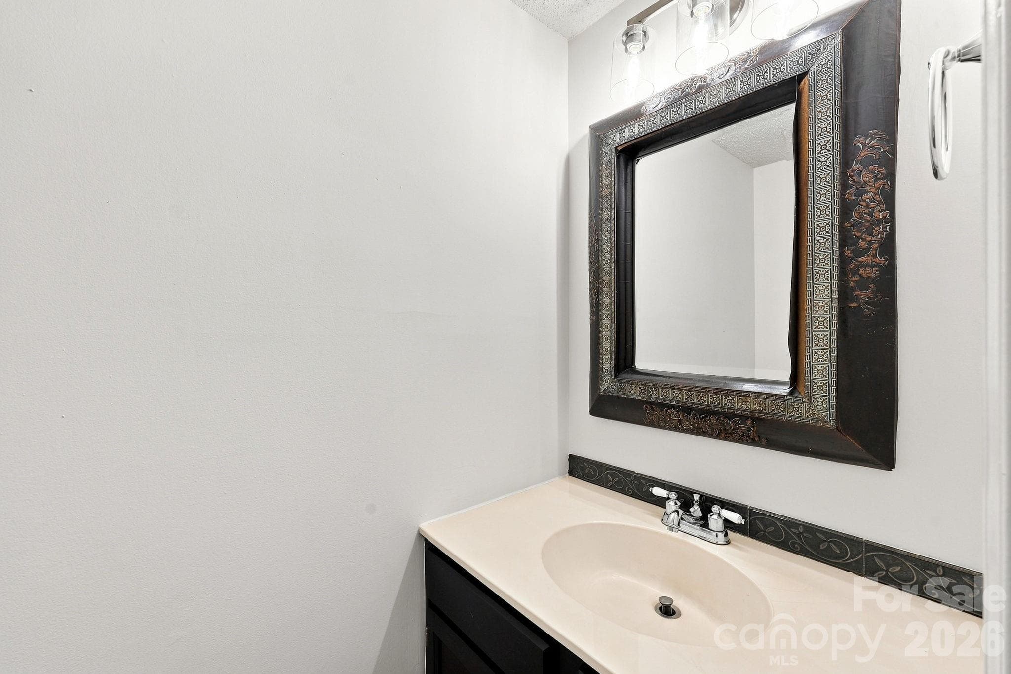 Single Family Residence at 6004 Elm Cove Lane, Charlotte, photo 16 of 48