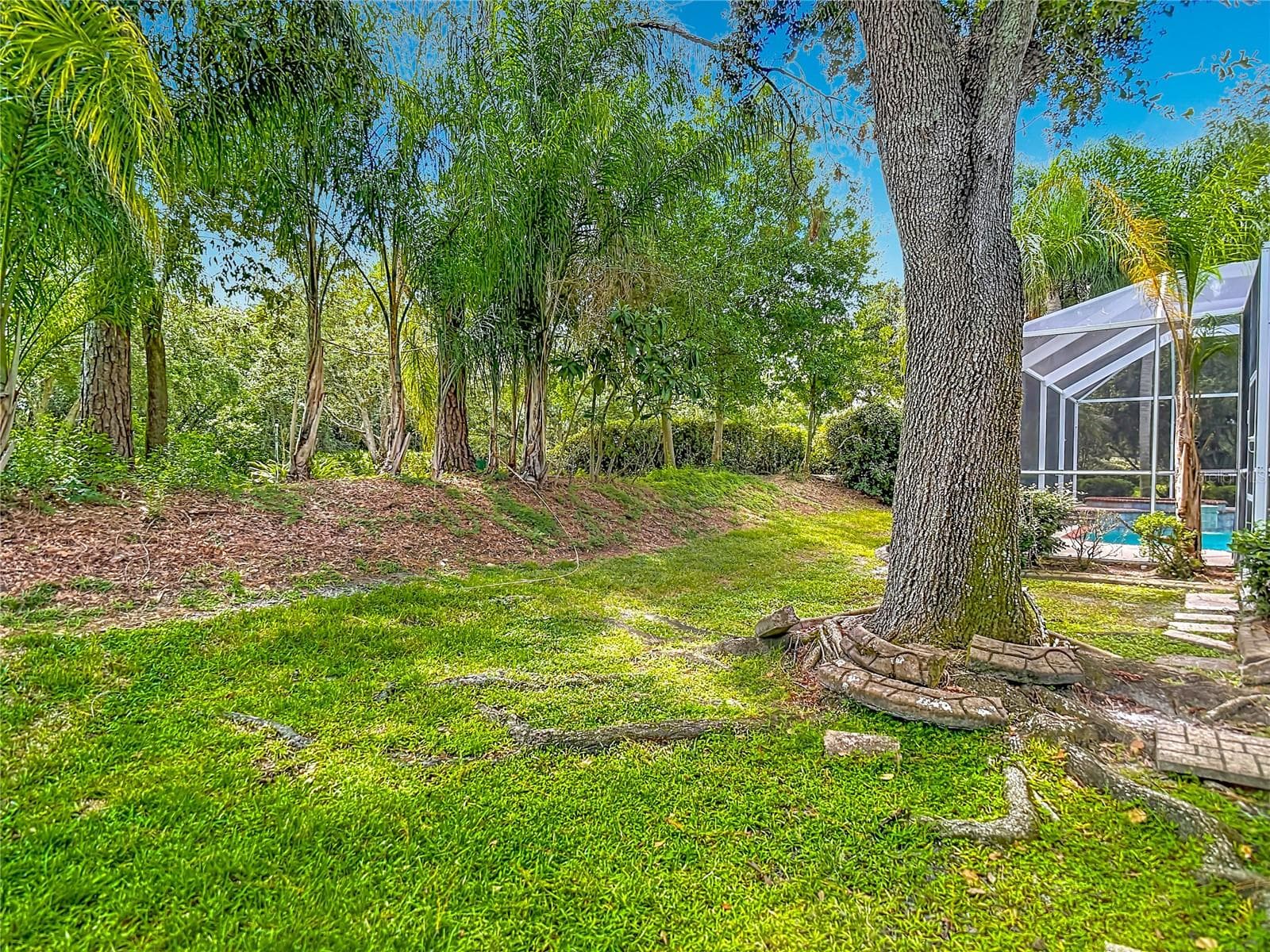 Single Family Residence at 10221 GARDEN ALCOVE DR, TAMPA, photo 59 of 65