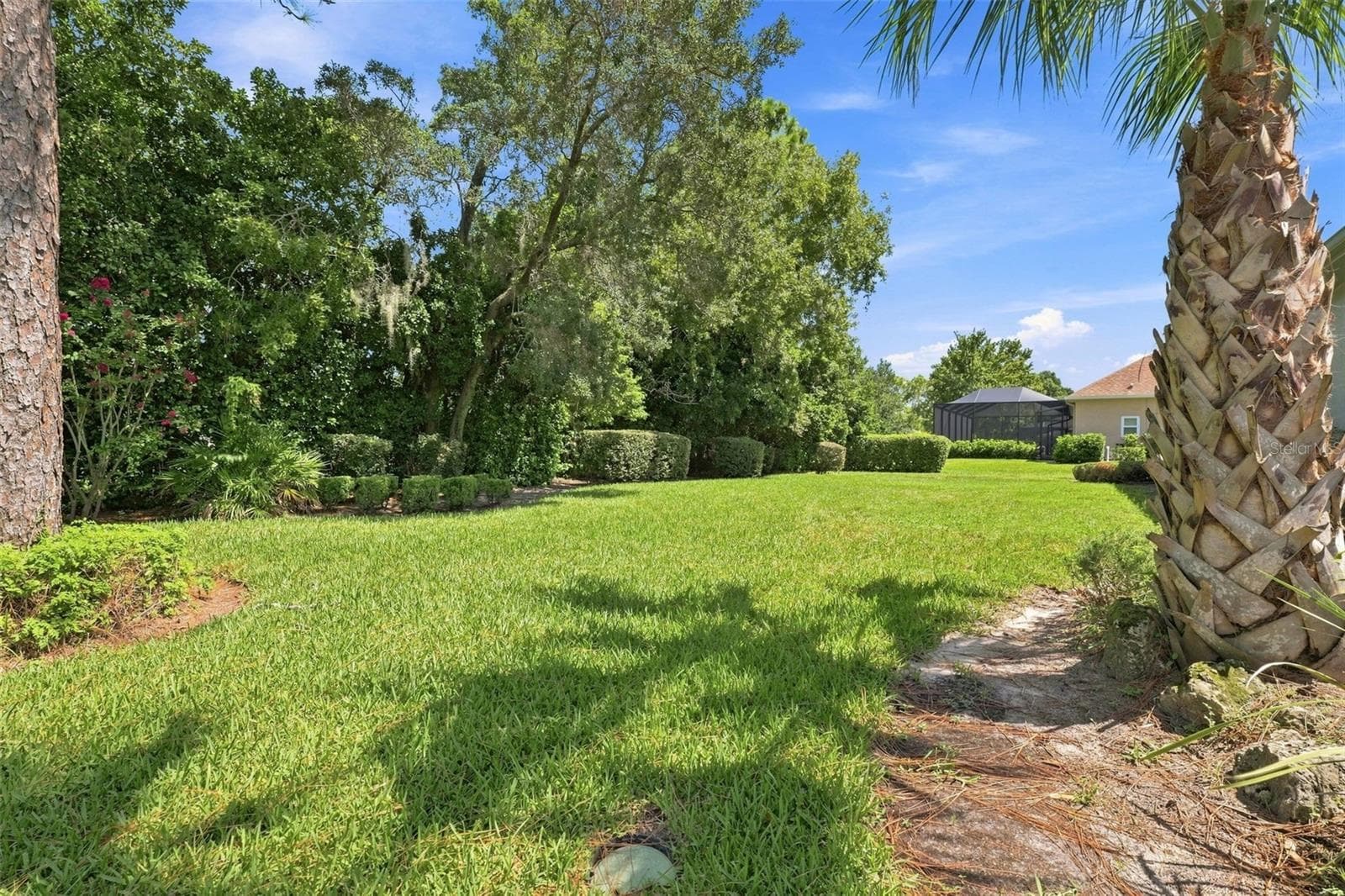 Rear Exterior View - 5333 LEATHER SADDLE LN, SPRING HILL