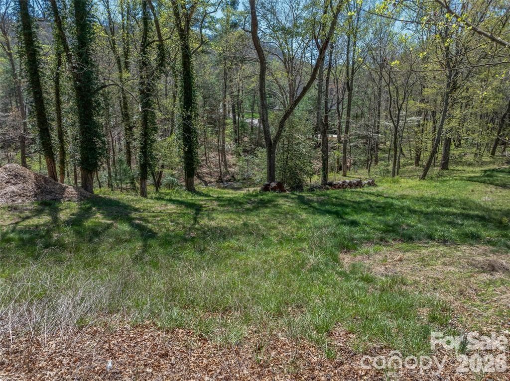 Lot at 99999 Running Creek Trail, Arden, photo 3 of 21