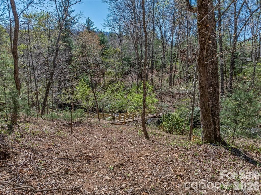 Lot at 99999 Running Creek Trail, Arden, photo 7 of 21