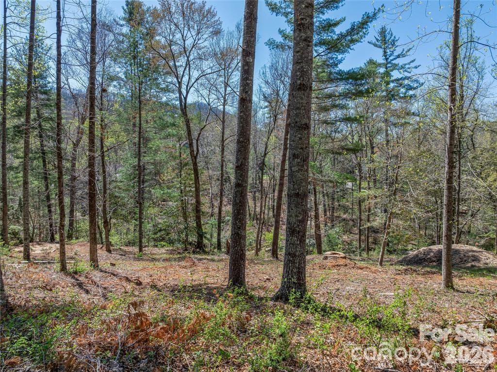 Lot at 99999 Running Creek Trail, Arden, photo 19 of 21