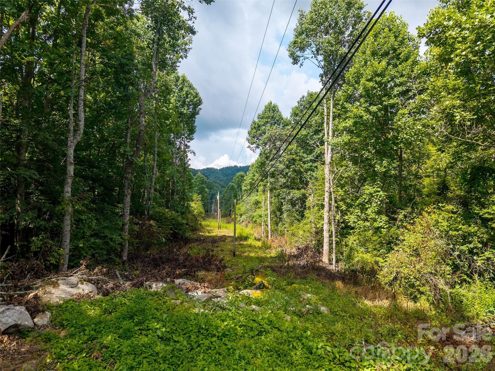 Acreage at 00 Sugar Cove Road, Clyde, photo 4 of 16