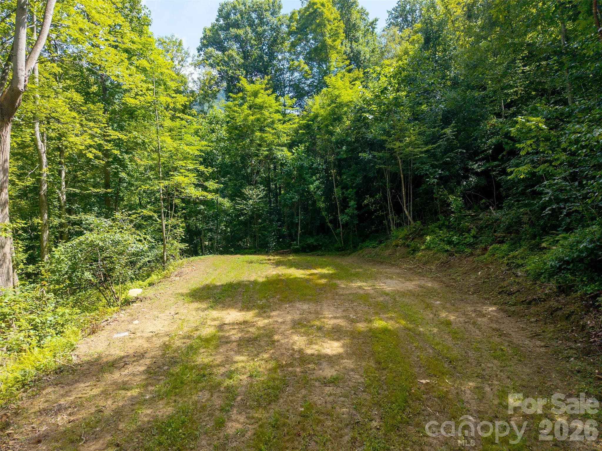 Acreage at 00 Sugar Cove Road, Clyde, photo 6 of 16