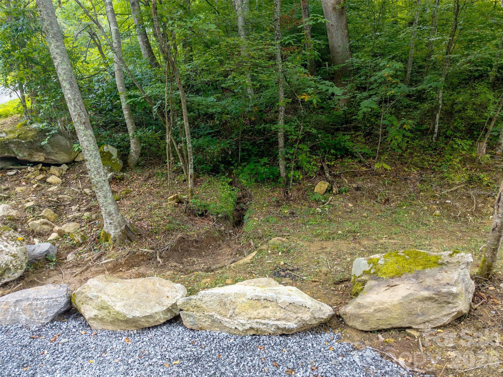 Acreage at 00 Sugar Cove Road, Clyde, photo 15 of 16
