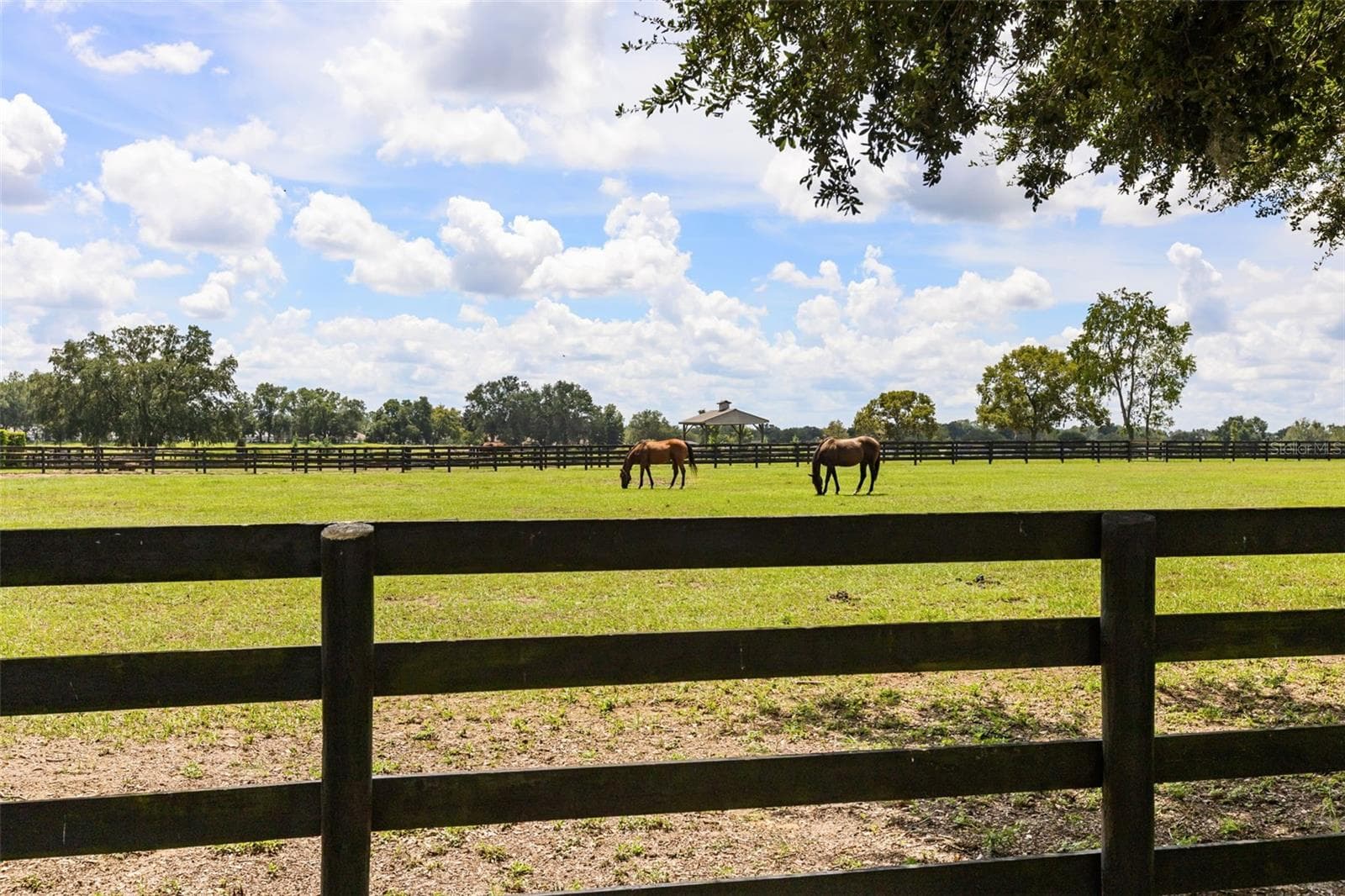 Single Family Residence at 4720 NW 35TH LANE RD, OCALA, photo 6 of 63