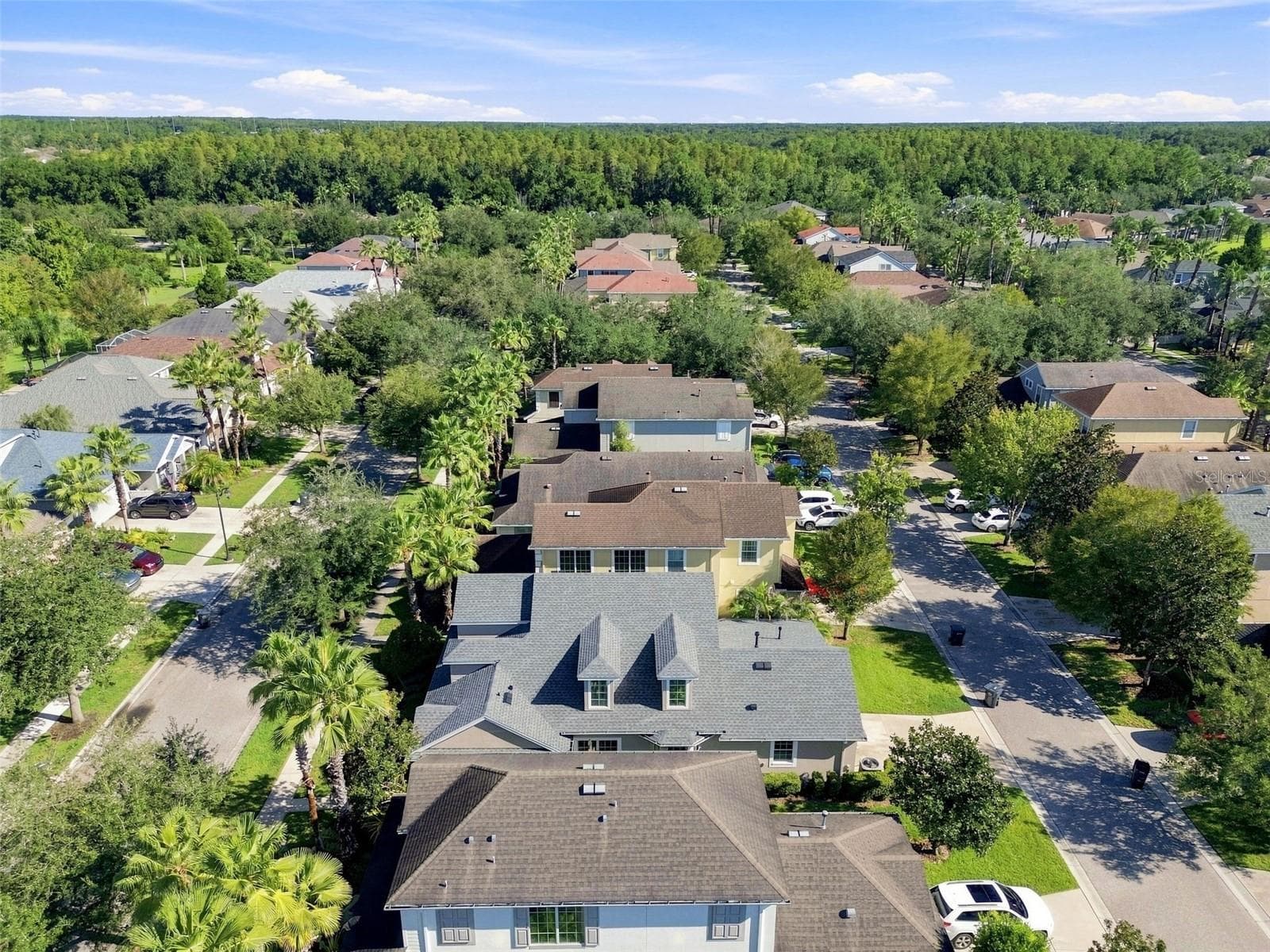 Single Family Residence at 20113 BENDING CREEK PL, TAMPA, photo 48 of 62