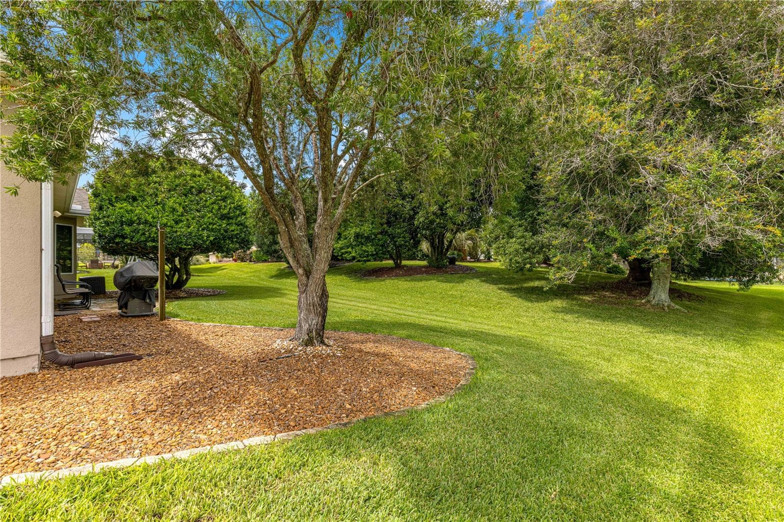 Single Family Residence at 12864 SE 92ND COURT RD, SUMMERFIELD, photo 42 of 67
