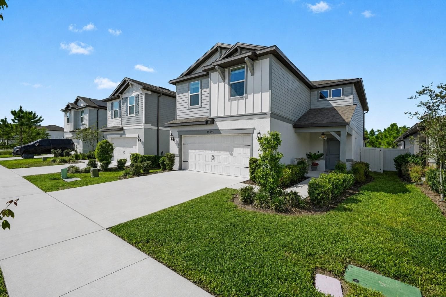 Single Family Residence at 20865 DRAKE ELM DR, LAND O LAKES, photo 3 of 53