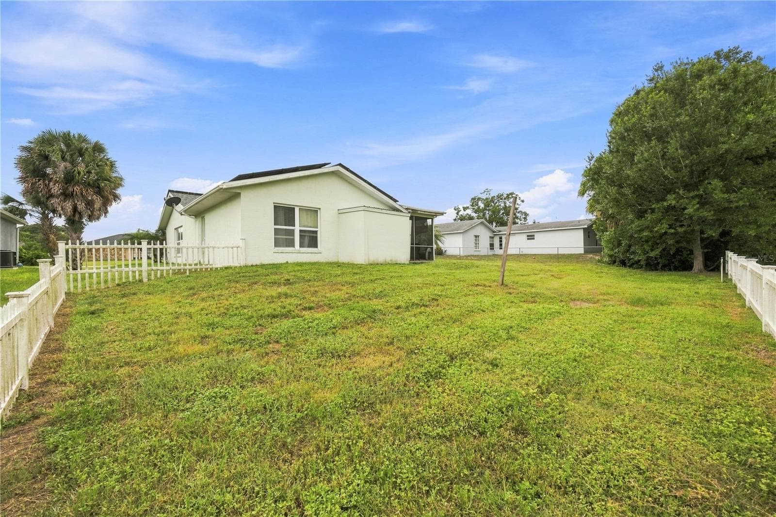 Fully fenced backyard with privacy fencing on two sides, a small dog kennel, a concrete pad, and a mature palm tree. - 3906 SANTIAGO ST, SEBRING