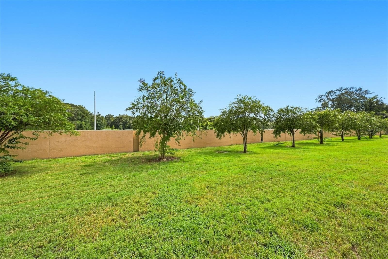 Townhouse at 9755 TRUMPET VINE LOOP, NEW PORT RICHEY, photo 21 of 33