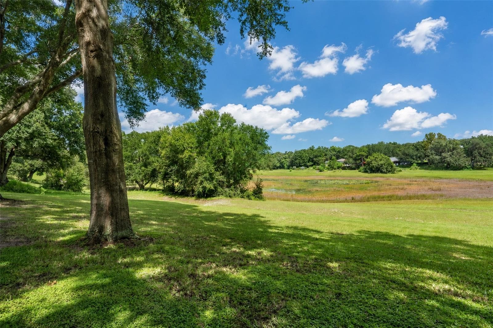 View from porch! - 1326 OAK VALLEY BLVD, MINNEOLA