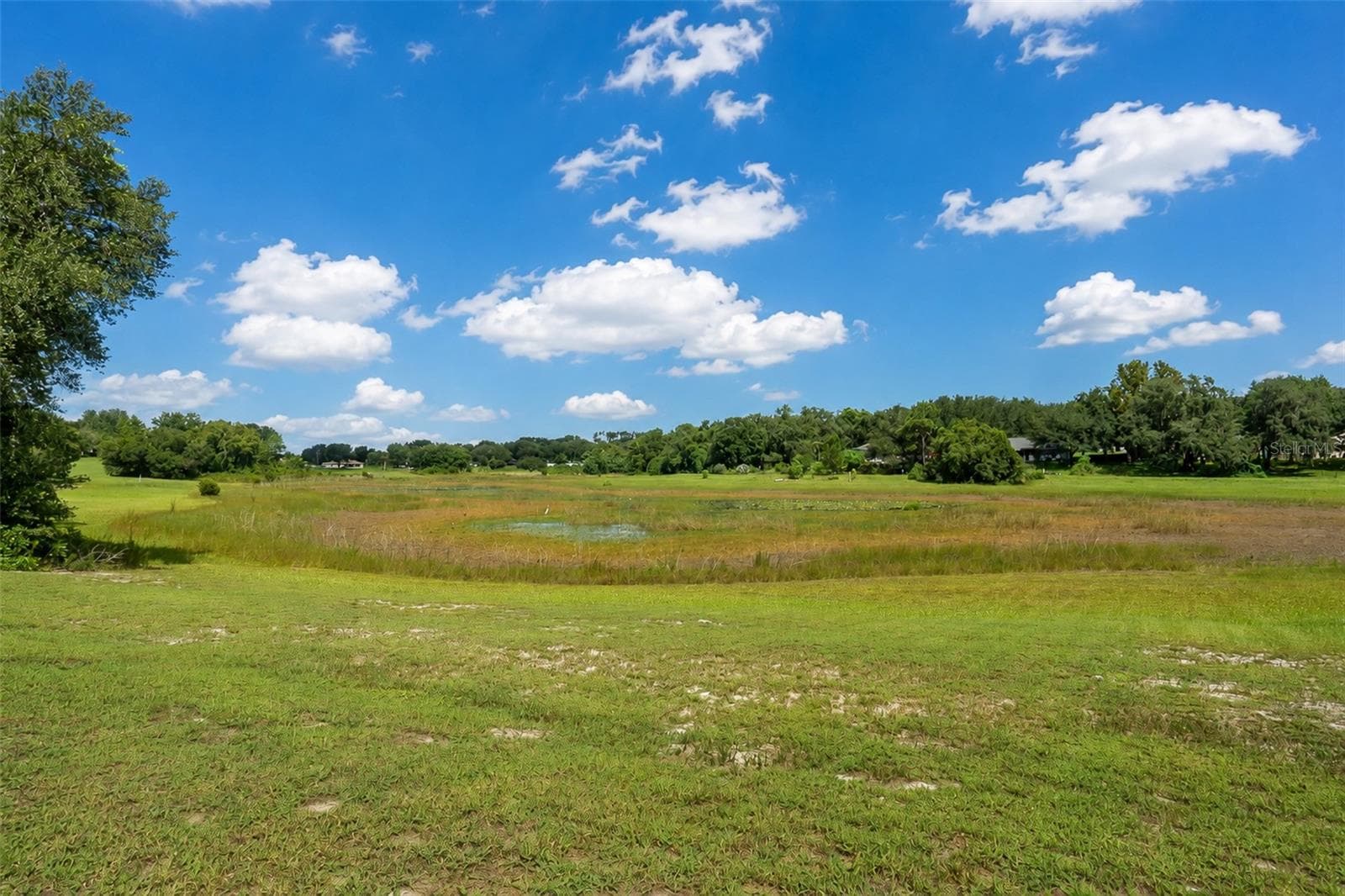View of 8ball lake - 1326 OAK VALLEY BLVD, MINNEOLA