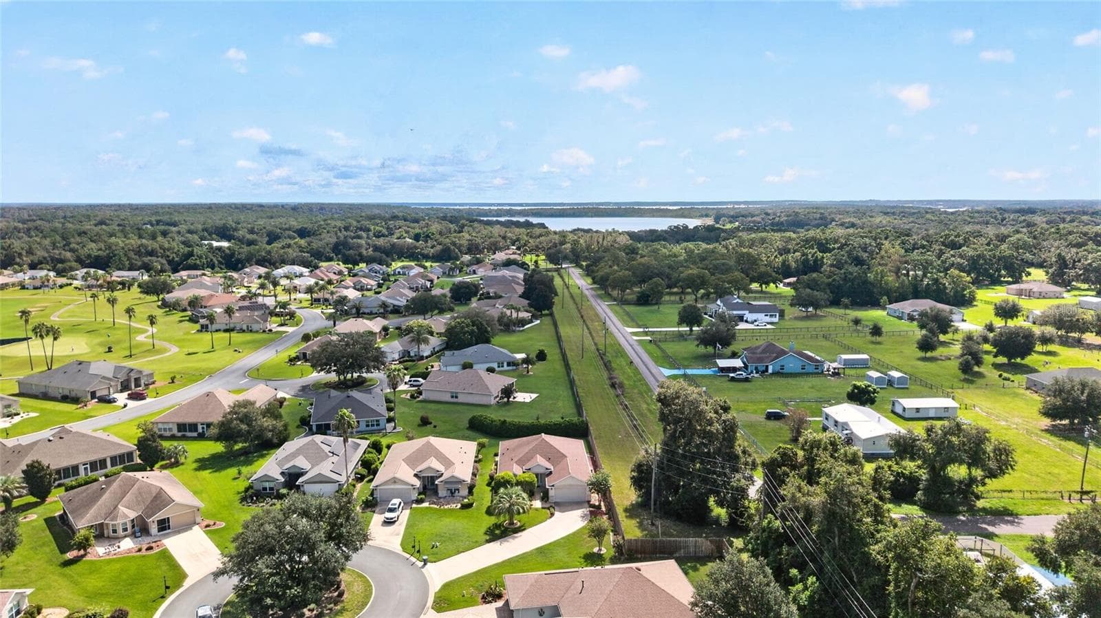 Aerial - 13996 SE 94TH AVE, SUMMERFIELD