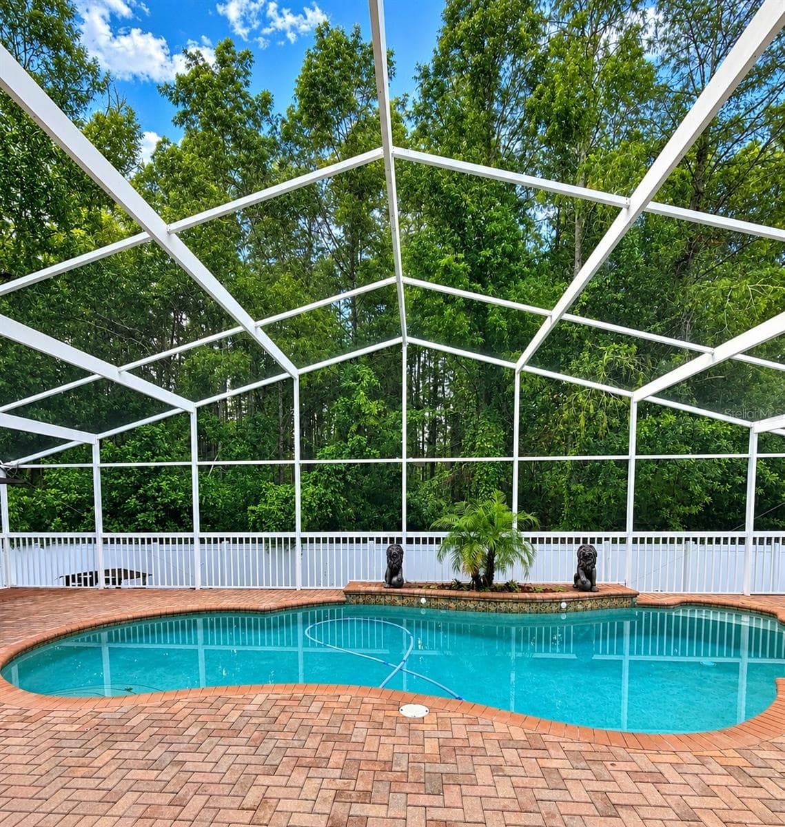 Pool - 6518 APPALOOSA DR, TAMPA