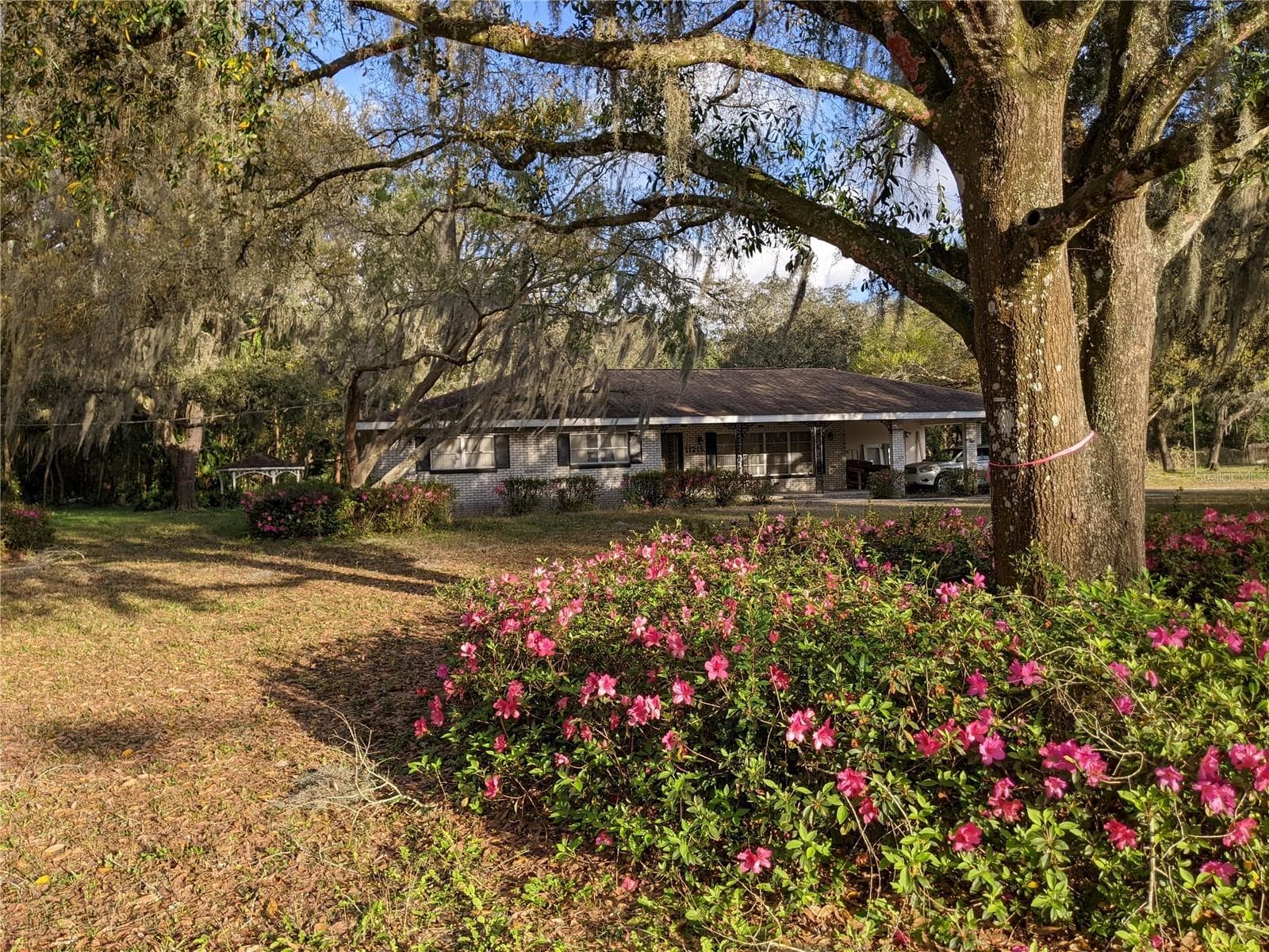 11215 DAVIS RD
