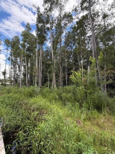 Land at WESLEY CHAPEL BLVD, LUTZ, photo 10 of 12