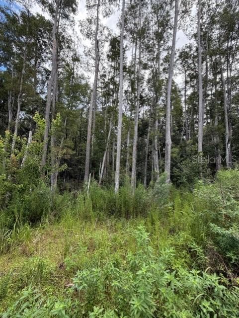 Land at WESLEY CHAPEL BLVD, LUTZ, photo 11 of 12