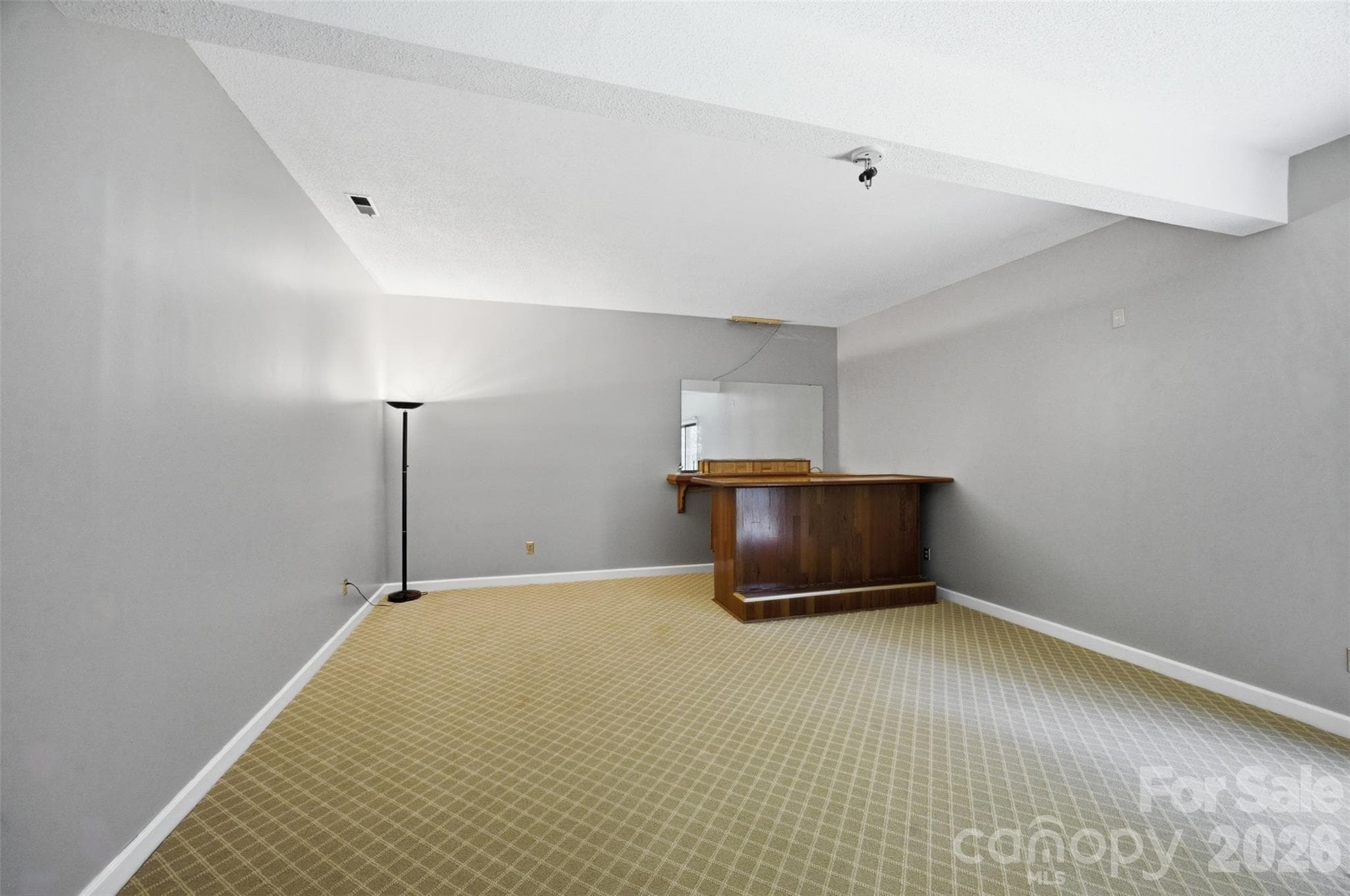 Basement - 13432 Windward Cove, Charlotte