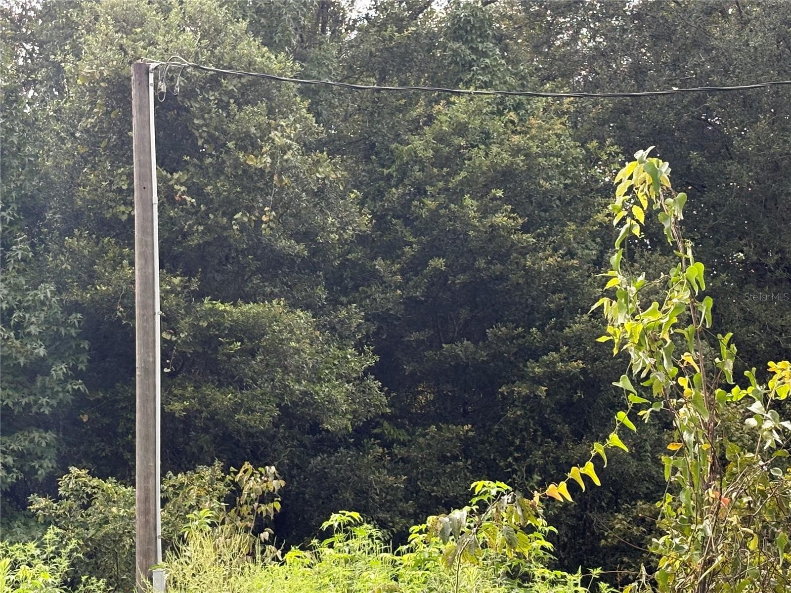 Existing Electrical Utility Pole on Property - COUNTY ROAD 751, WEBSTER