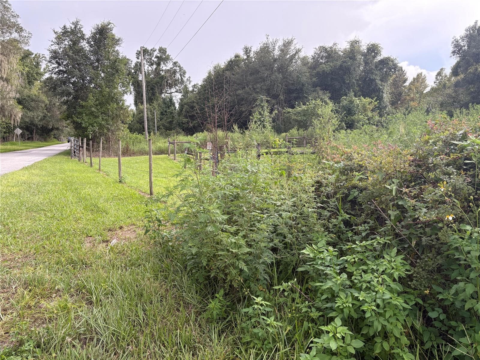CR-751 Side View - COUNTY ROAD 751, WEBSTER