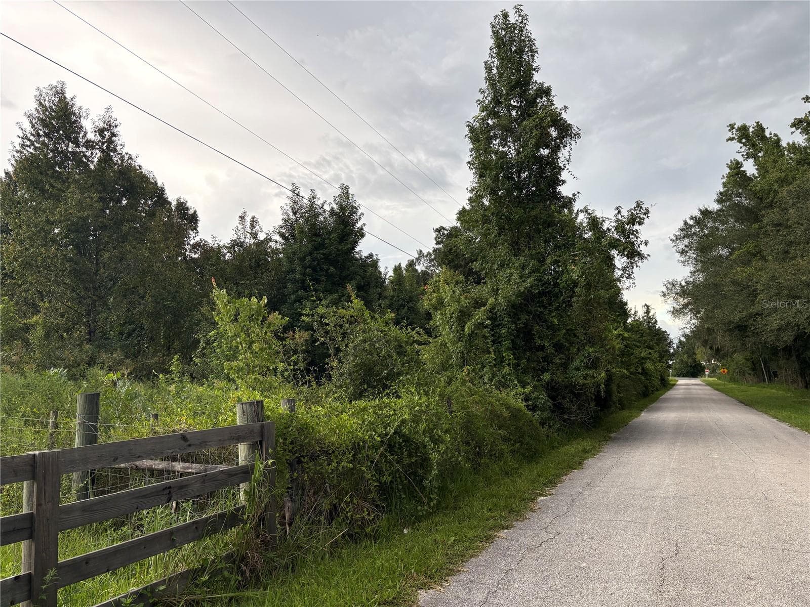 Neighboring Property & CR-751 - COUNTY ROAD 751, WEBSTER