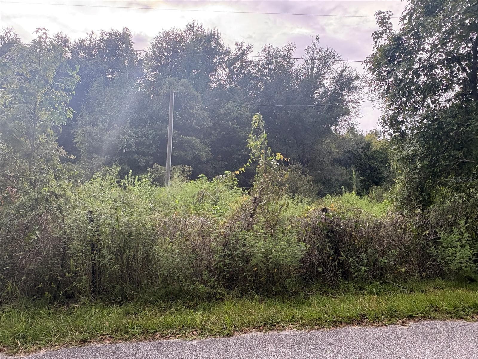 Existing Electrical Utility Pole on Property - COUNTY ROAD 751, WEBSTER