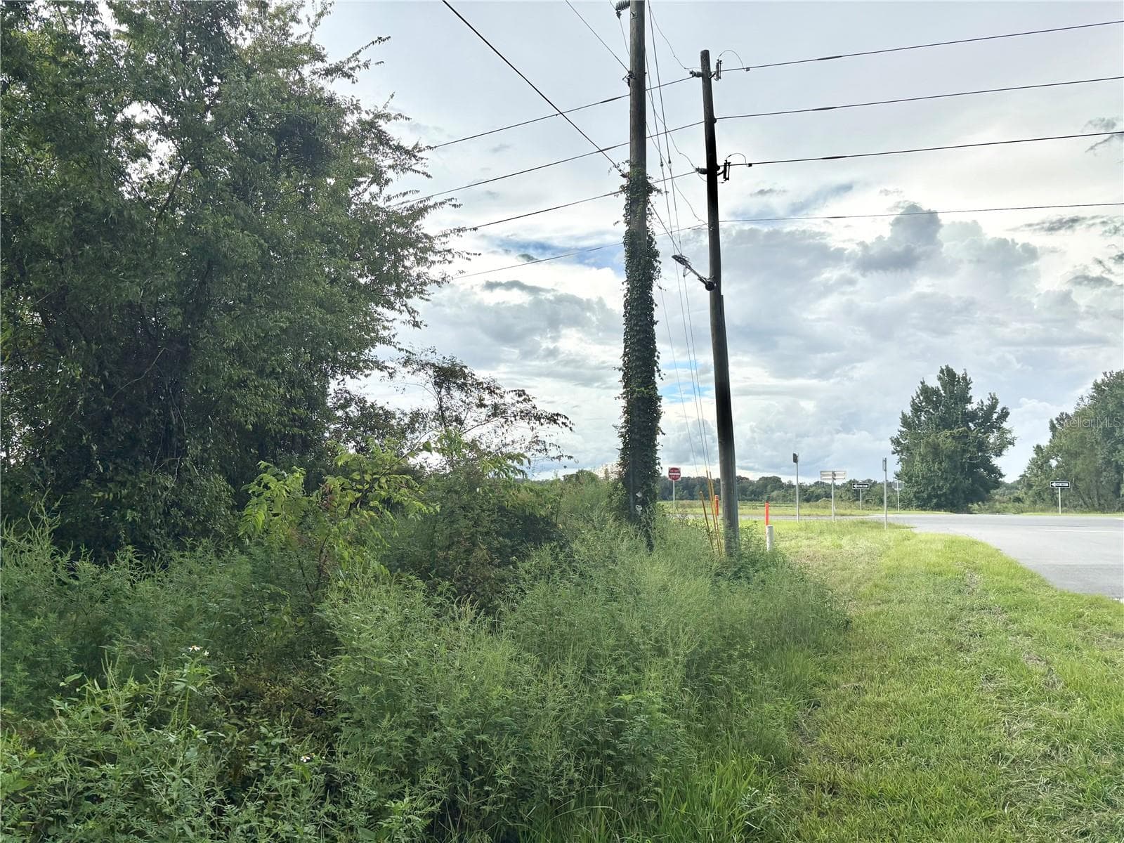 FL-50 Side View - COUNTY ROAD 751, WEBSTER