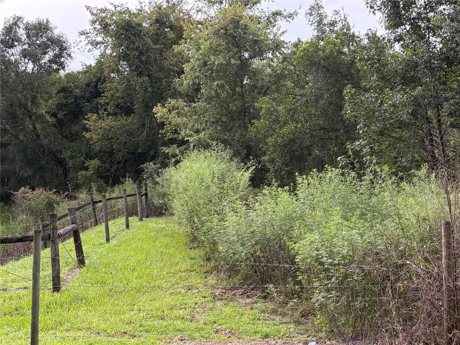 Land at COUNTY ROAD 751, WEBSTER, photo 20 of 23