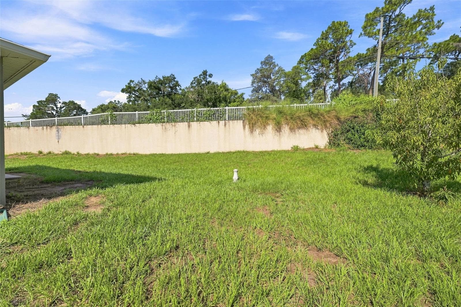 Rear Exterior View - 37150 HIGHLAND BLUFF CIR, DADE CITY