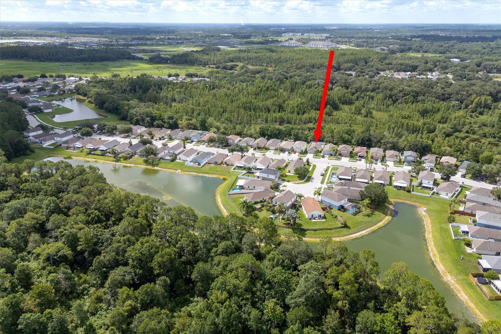 Single Family Residence at 30516 BIRDHOUSE DR, WESLEY CHAPEL, photo 5 of 28