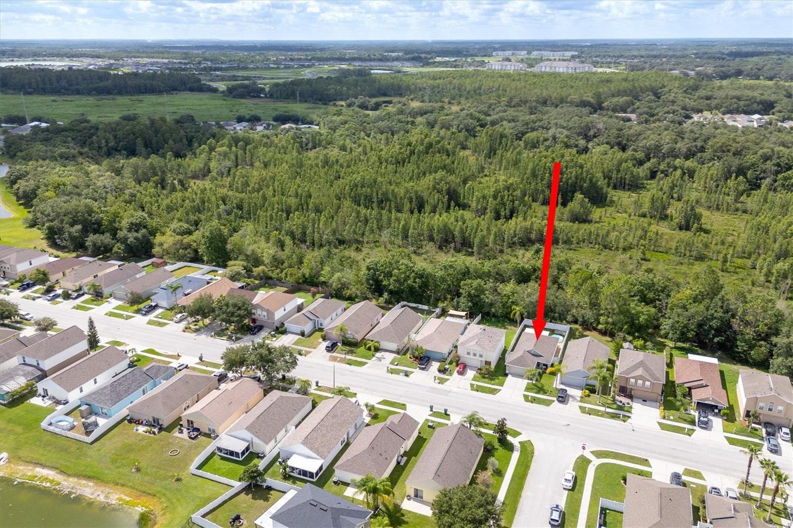 Single Family Residence at 30516 BIRDHOUSE DR, WESLEY CHAPEL, photo 28 of 28