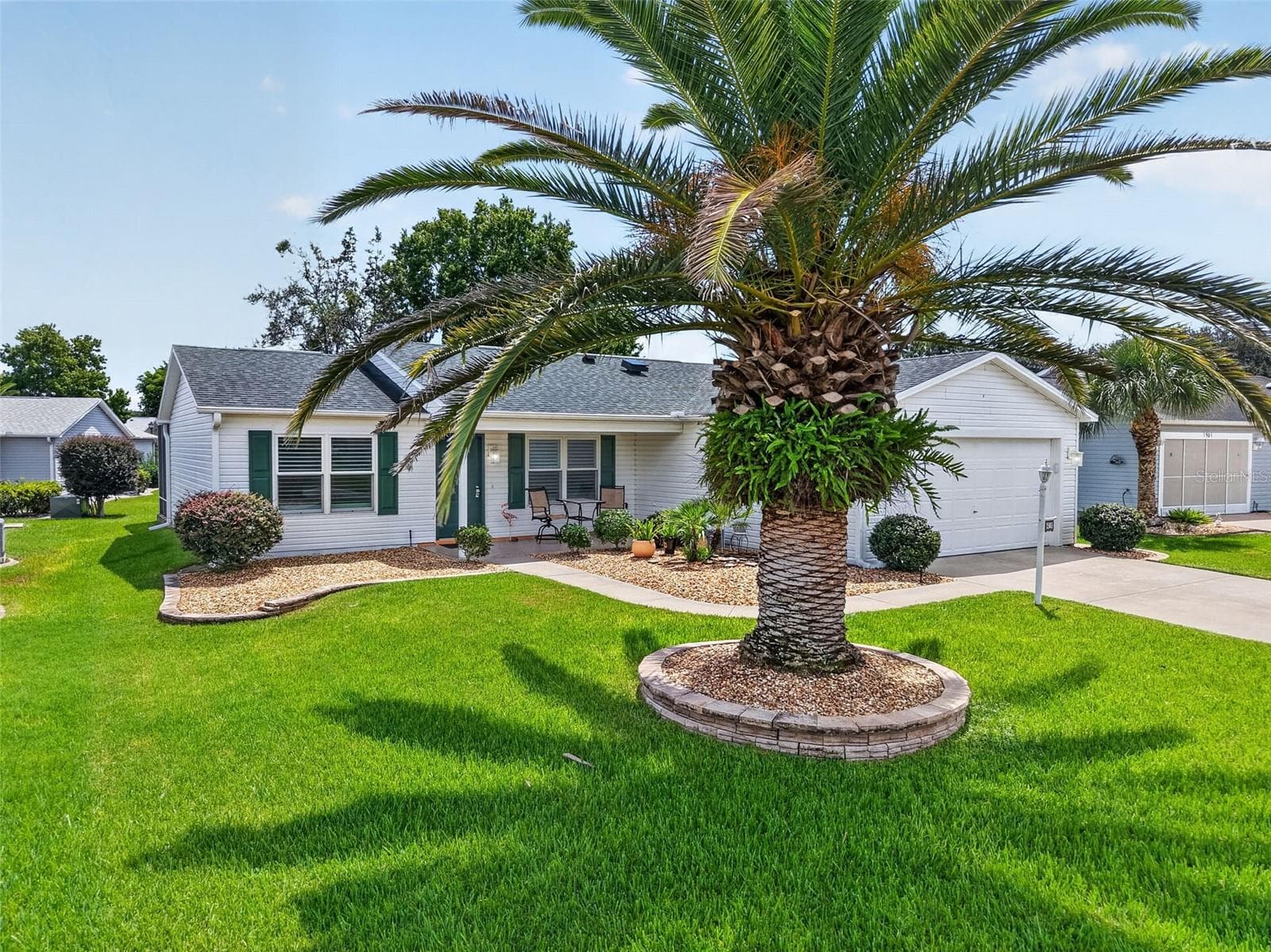 Mature Palm Tree in Front Yard - 1503 ESCANDON PL, THE VILLAGES