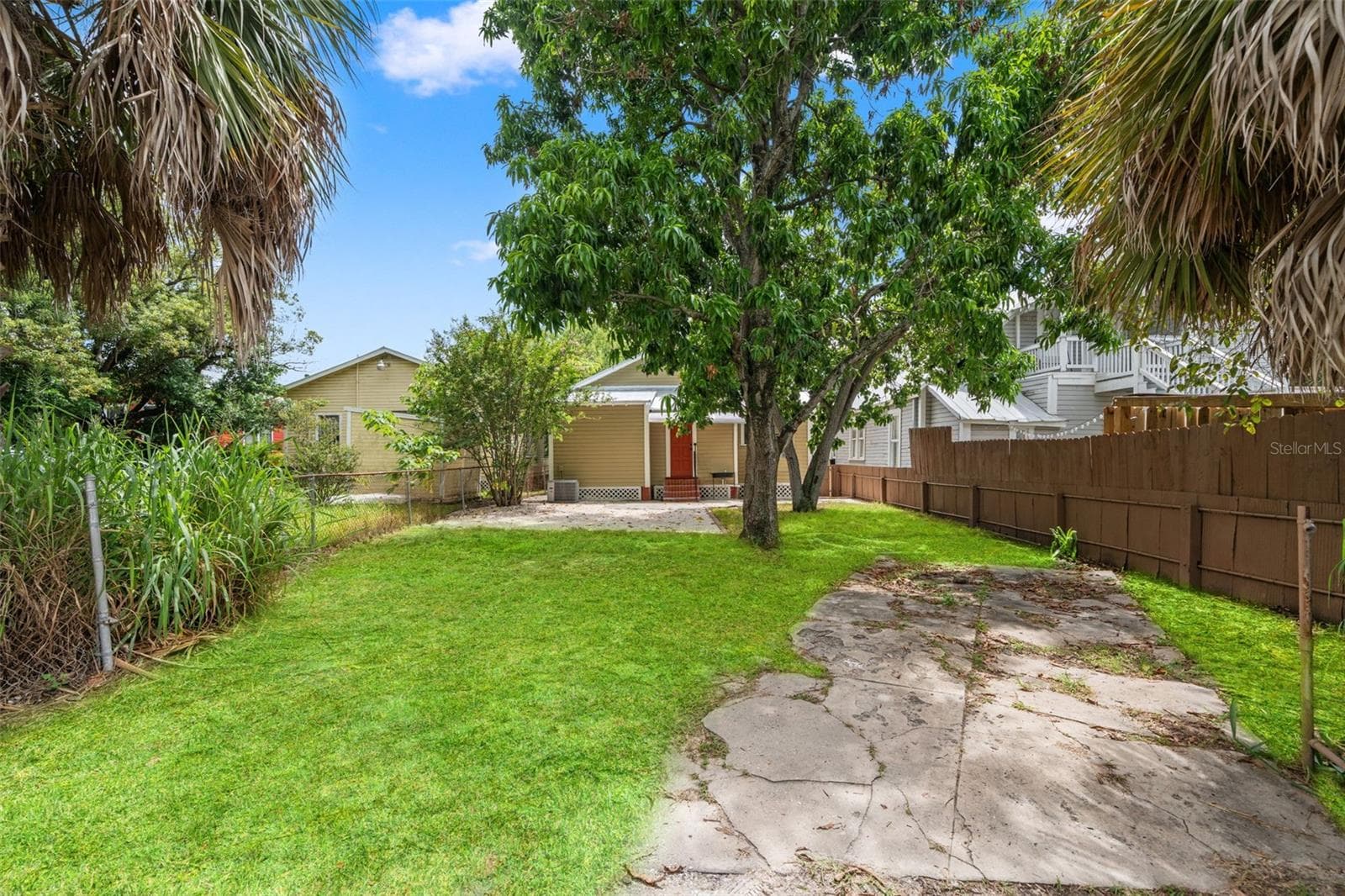 Grass enahanced - 1310 E 15TH AVE, TAMPA