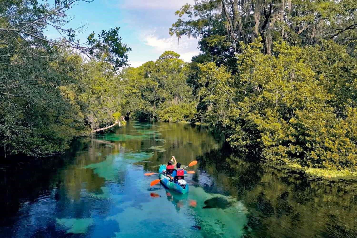 The Springs - 11619 GRACE RD, WEEKI WACHEE