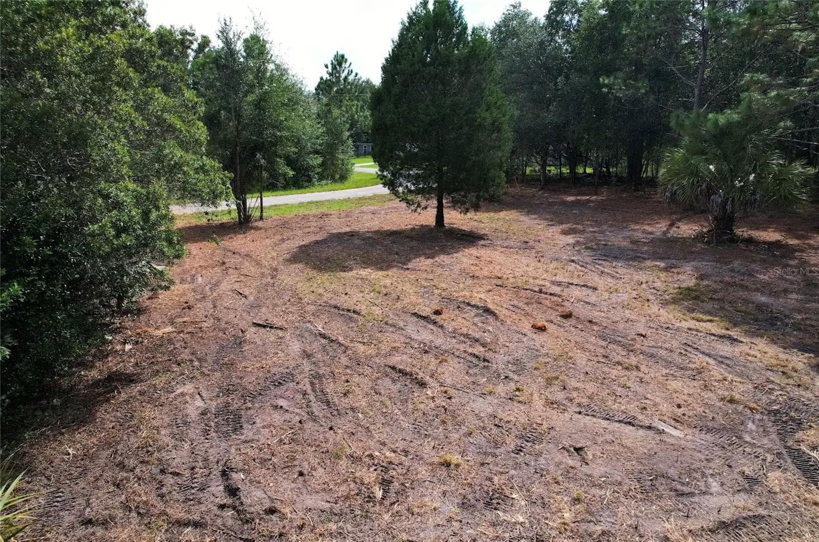 Land at 8750 N CATAPANE LOOP, CRYSTAL RIVER, photo 2 of 5