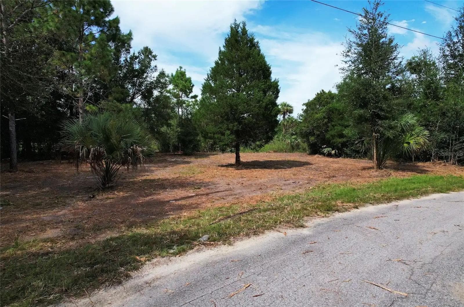 Land at 8750 N CATAPANE LOOP, CRYSTAL RIVER, photo 3 of 5