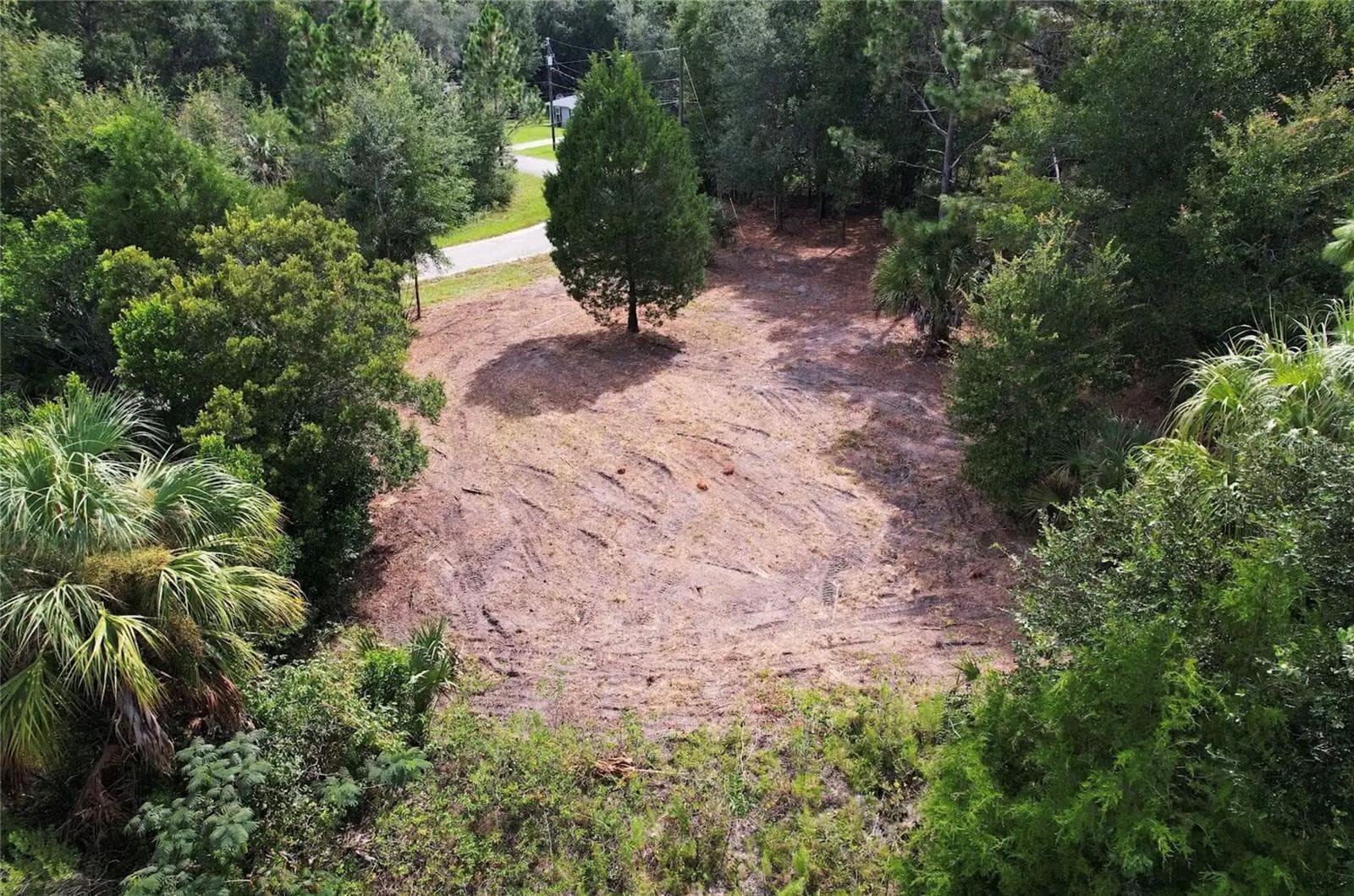 Land at 8750 N CATAPANE LOOP, CRYSTAL RIVER, photo 4 of 5