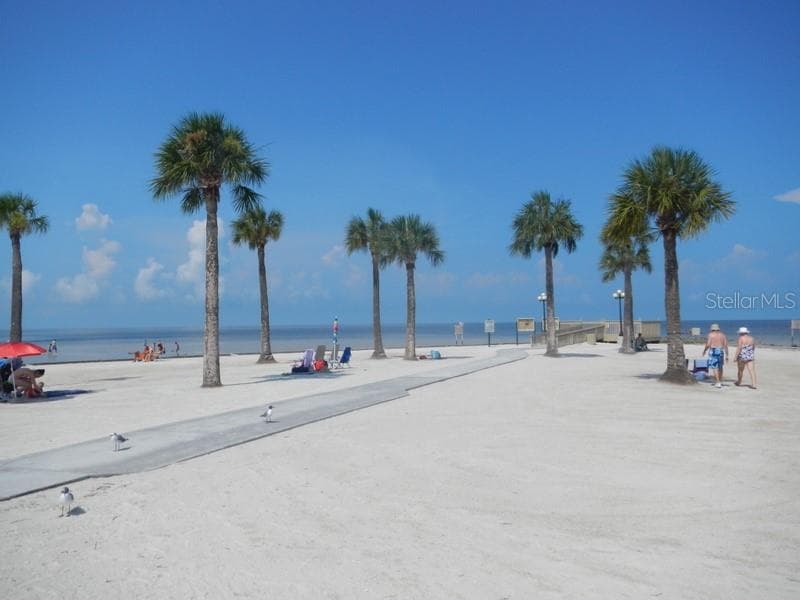 Near Pine Island Beach - 11612 GRACE RD, WEEKI WACHEE