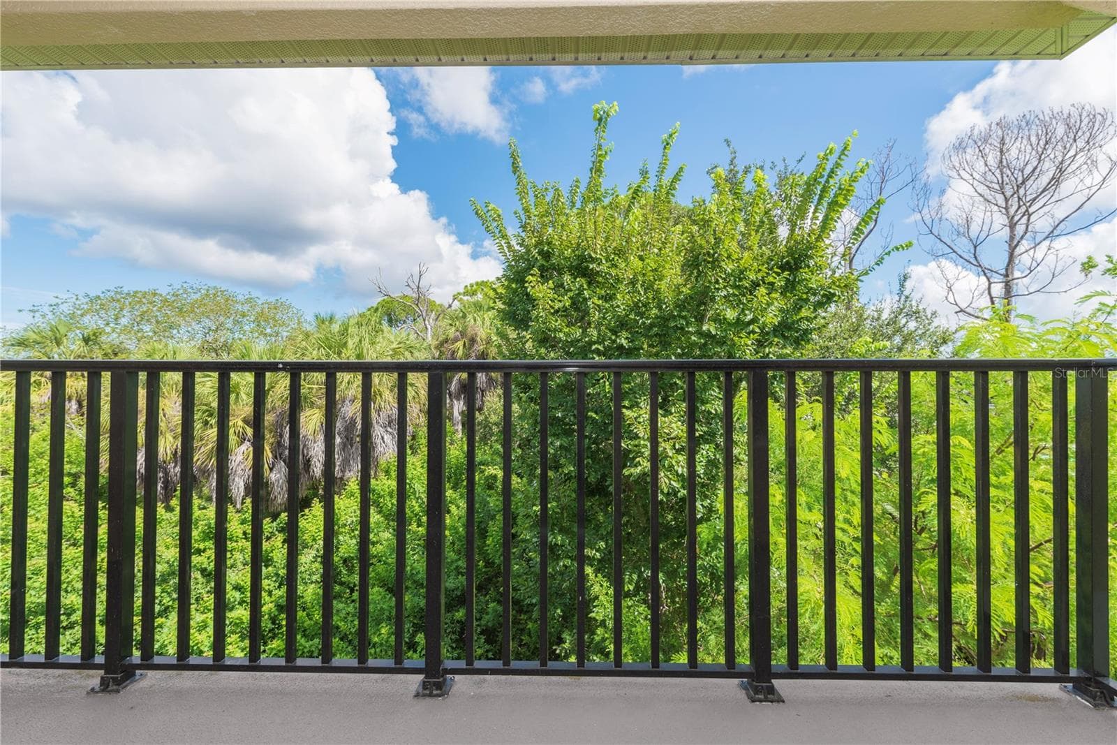 View from balcony. - 5065 ROYAL PALMS WAY #303, NEW PORT RICHEY