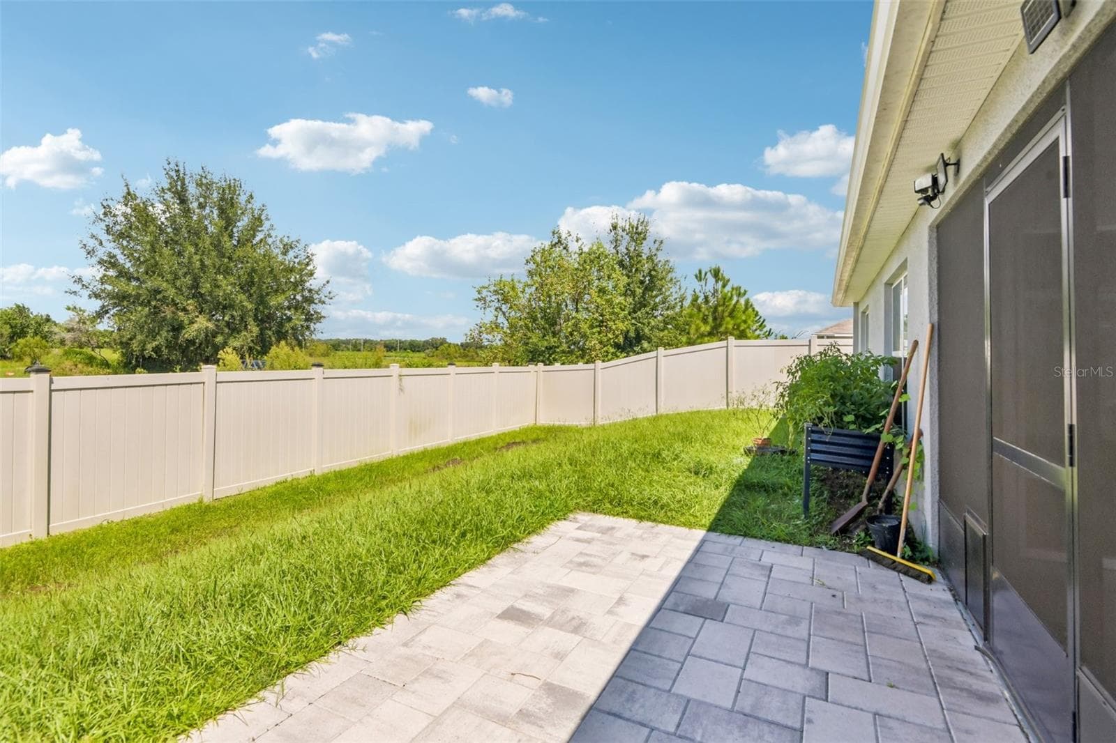 Back yard - 36945 GOFFAUX LOOP, ZEPHYRHILLS