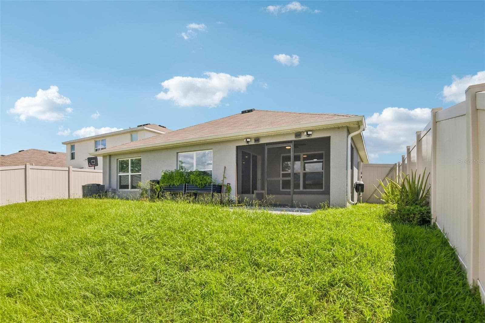 Back yard - 36945 GOFFAUX LOOP, ZEPHYRHILLS