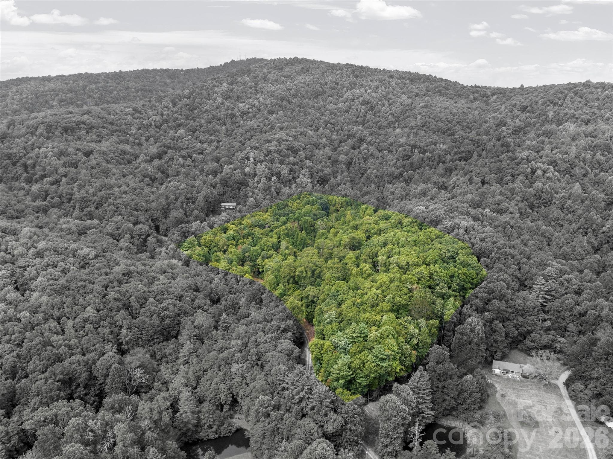 Acreage at 000 Pond Road, Spruce Pine, photo 4 of 14