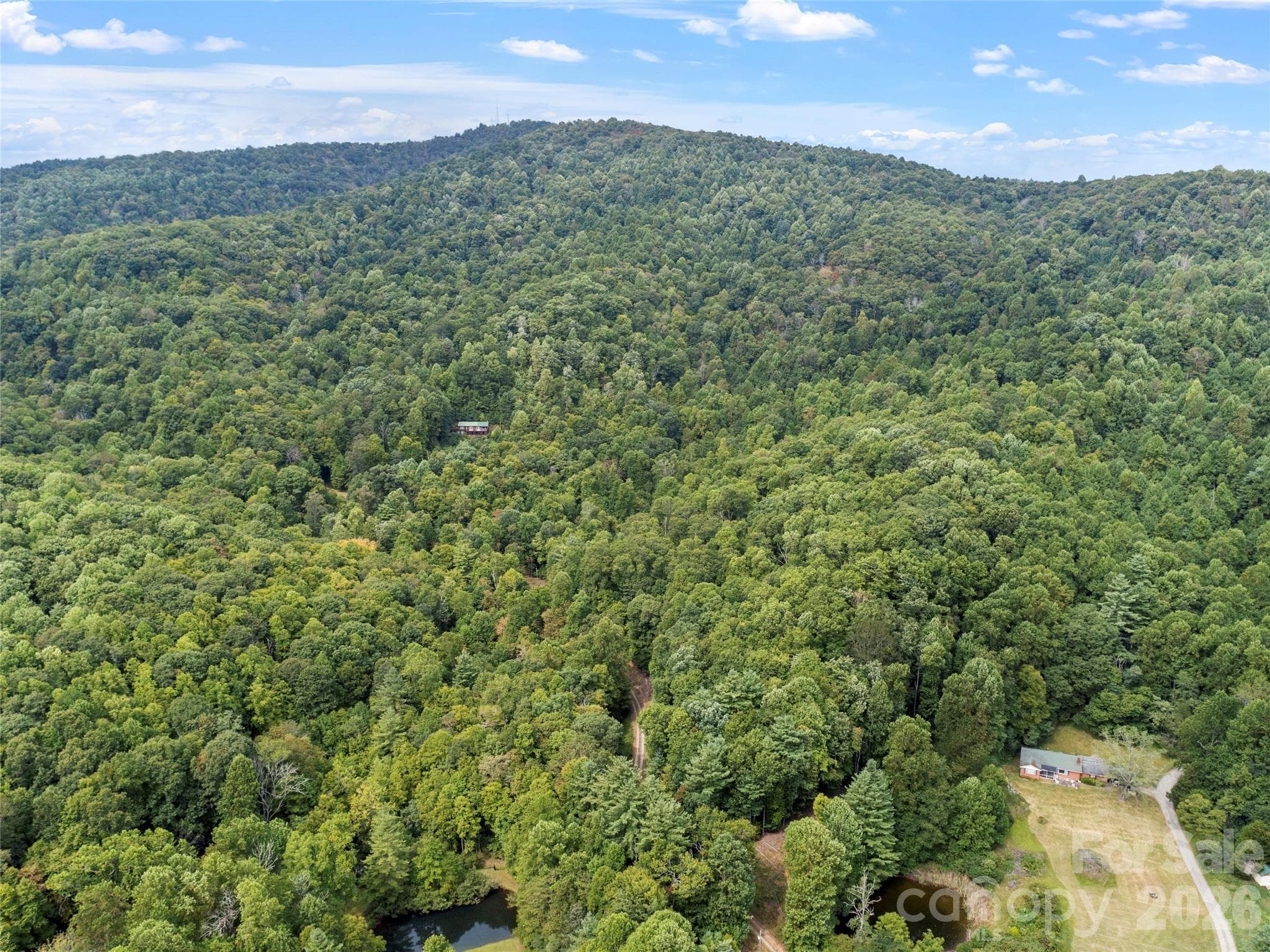 Acreage at 000 Pond Road, Spruce Pine, photo 8 of 14