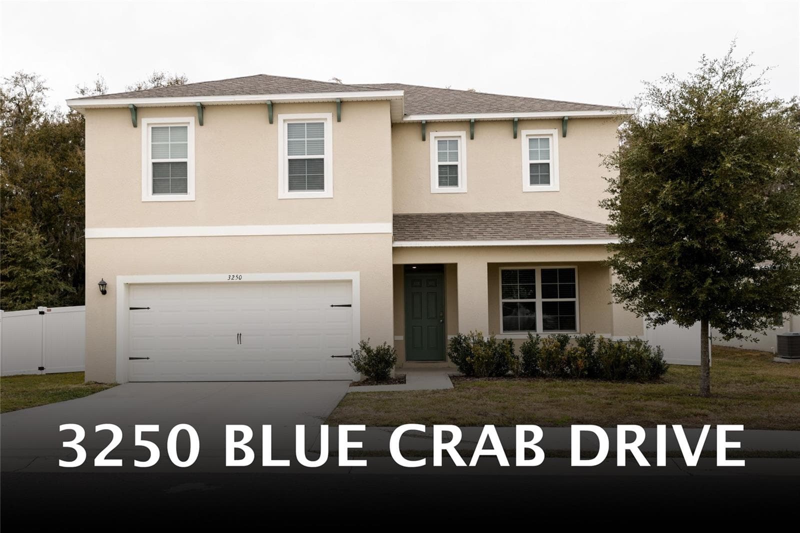 Single Family Residence at 3250 BLUE CRAB DR, TAVARES, photo 39 of 44