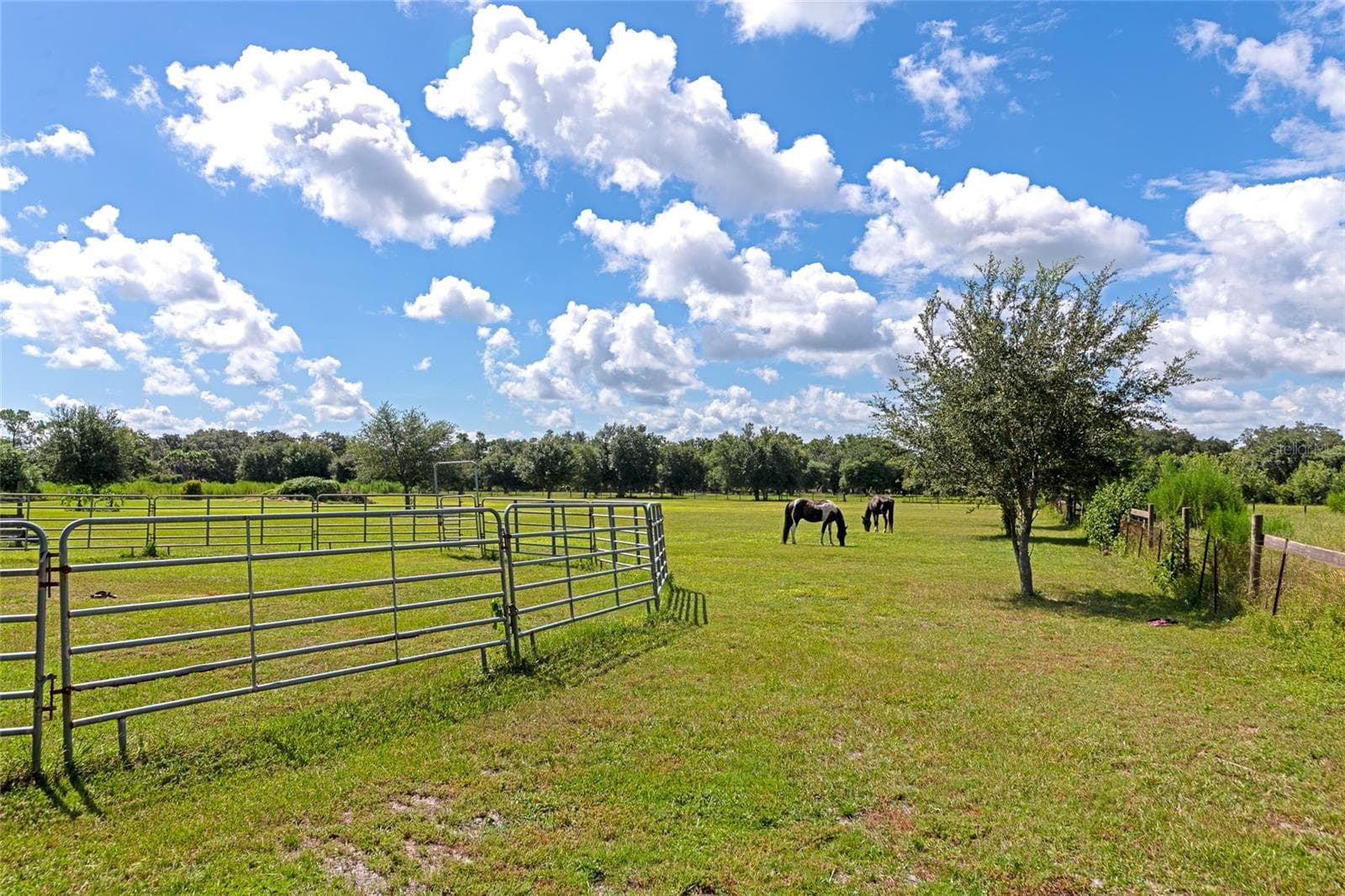 Single Family Residence at 710 MYAKKA RD, SARASOTA, photo 95 of 110