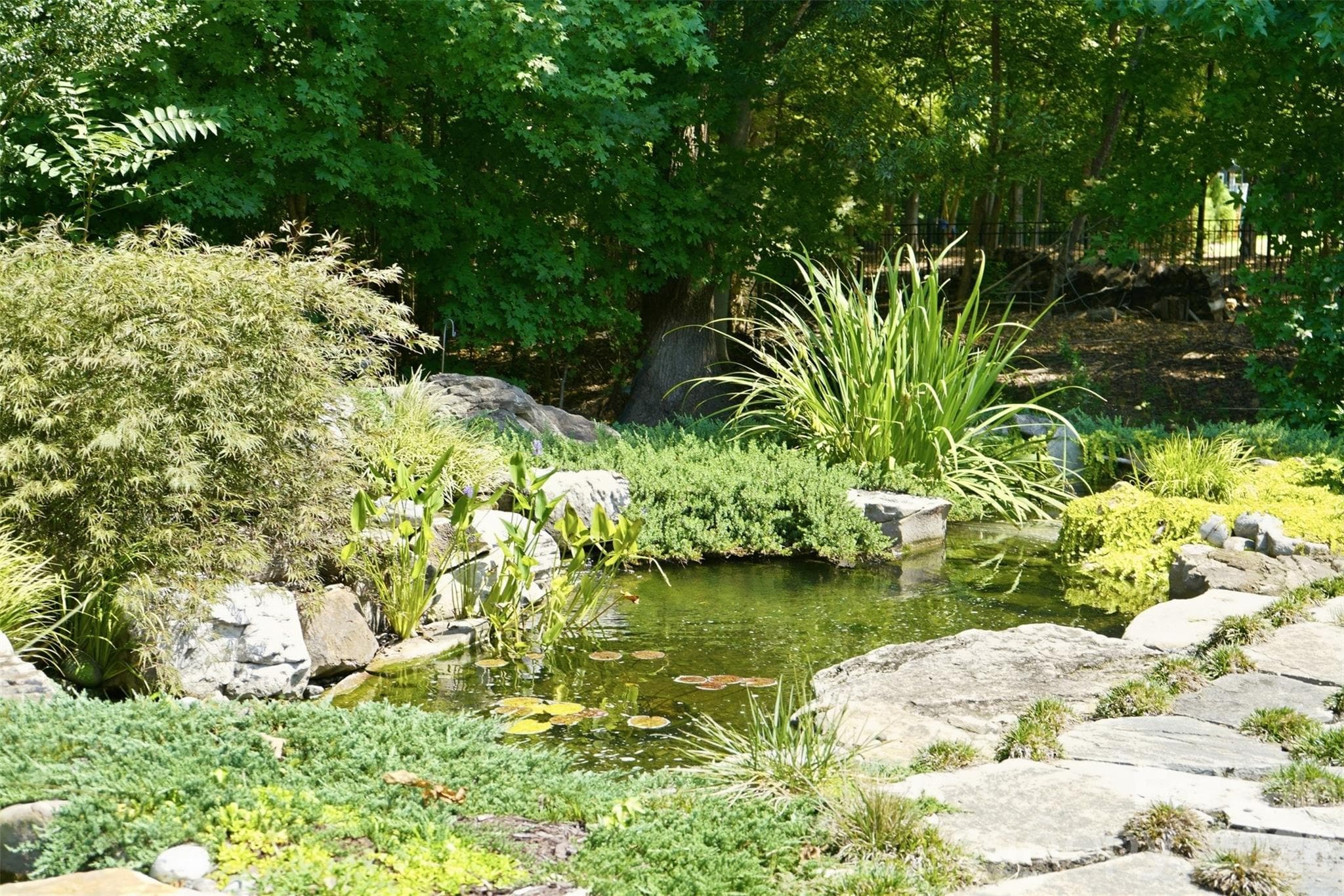 Backyard featuring Water Feature w/ Koi pond & wooded privacy - 1206 Delaney Drive, Weddington